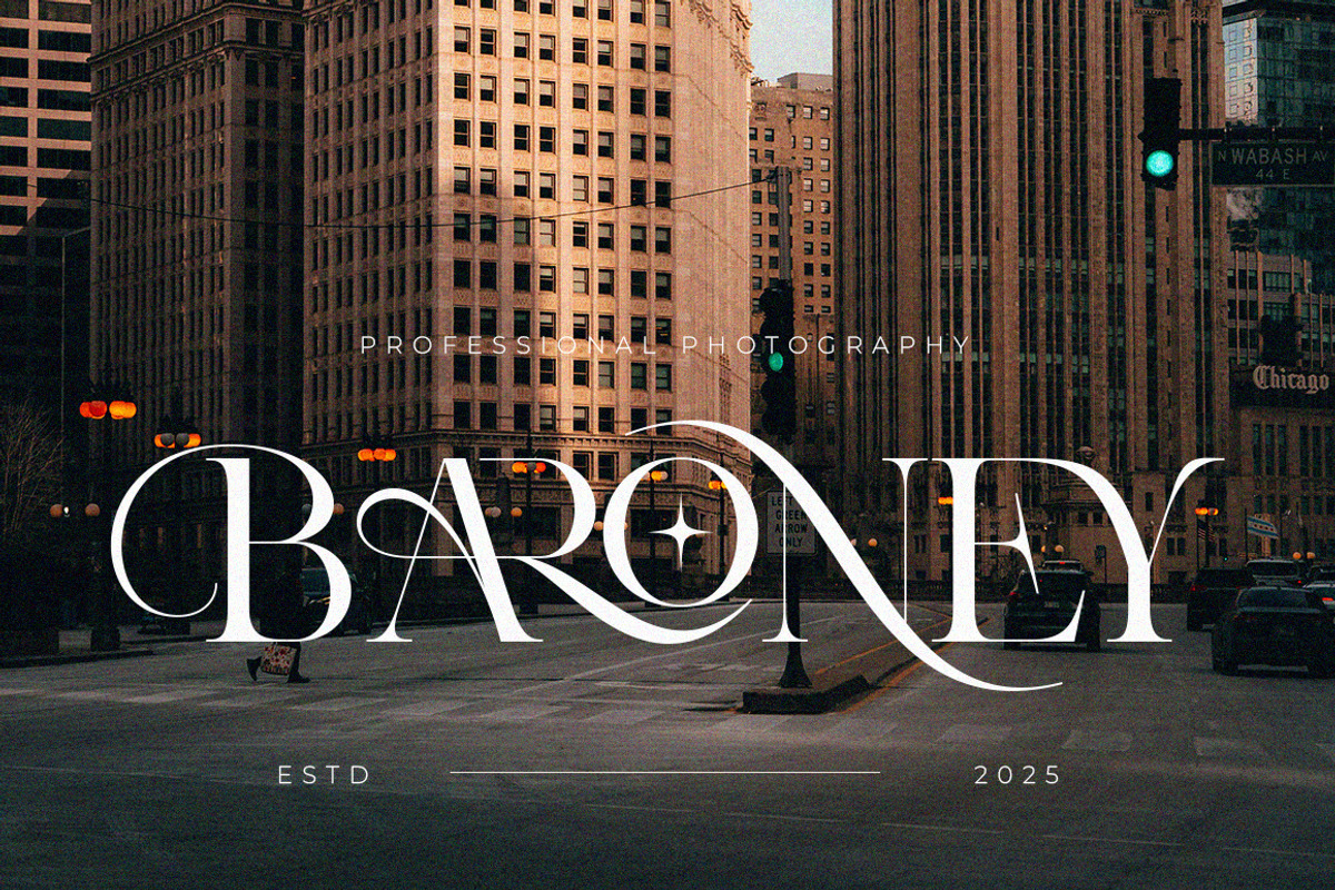 Aroney Family | 5 Style Fonts, a Serif Font by IM Studio (Photo 6 of 12)