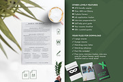 Registered Nurse CV Word, Pages, Doc, a Resume Template by Career Canvas (Thumbnail 5 of 11)