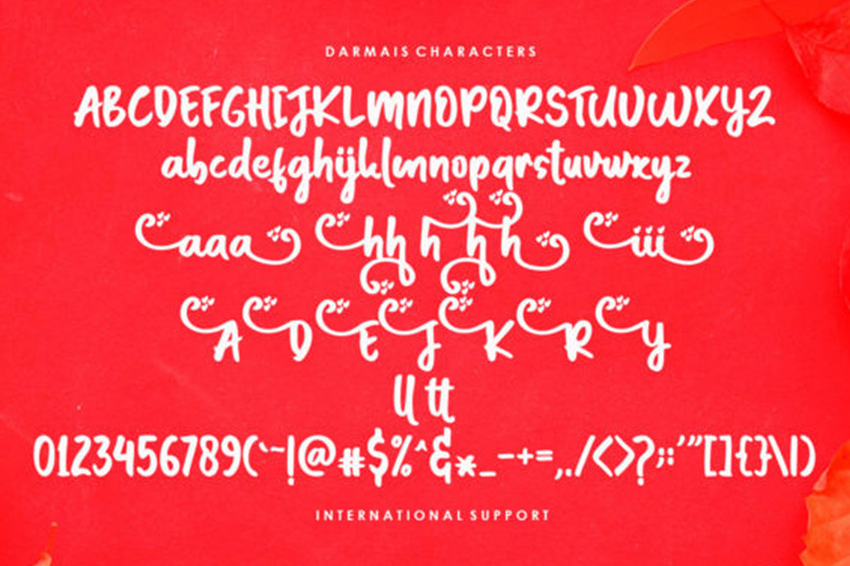 Darmais Script, a Script Font by Gatype (Photo 4 of 5)