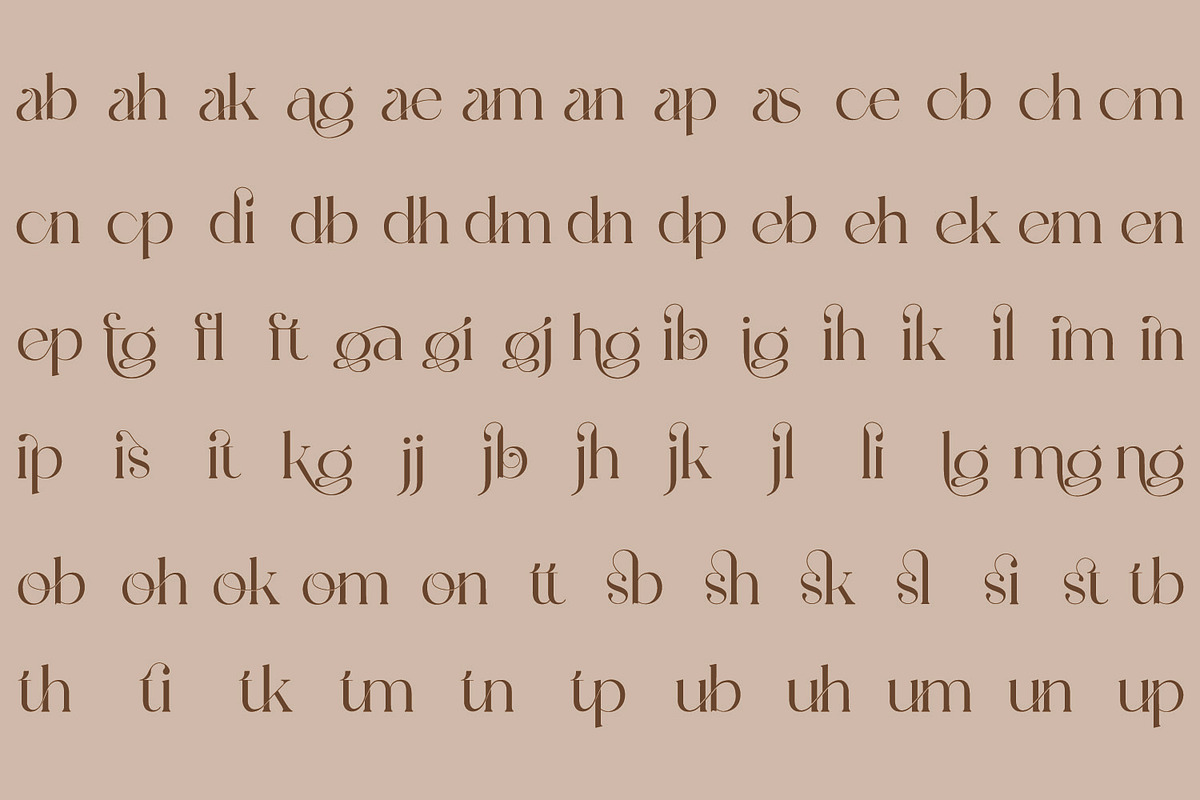 Bibalgoski V2 | Vintage Serif Type, a Serif Font by MchCrafter (Photo 13 of 15)