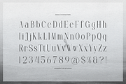 Furigale | Classic Serif, a Serif Font by gracetype_studio (Thumbnail 10 of 12)