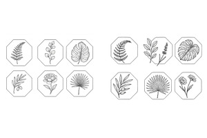 Detailed botanical illustrations, an Illustration by ZinetroN