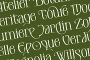 De Elora | Contemporary Art Nouveau, a Sans Serif Font by StoricType (Thumbnail 4 of 17)