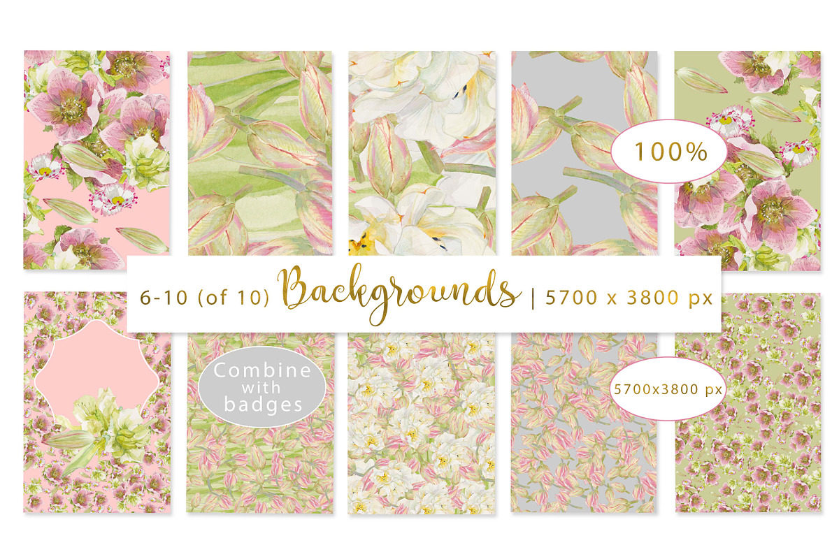 PINK TOOLBOX-70+DesignElements, an Illustration by watercolorwild.graphics (Photo 10 of 13)