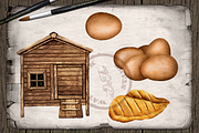 Farm Chicken Watercolor Illustration, a Decorative Illustration by DioFlow (Thumbnail 4 of 7)