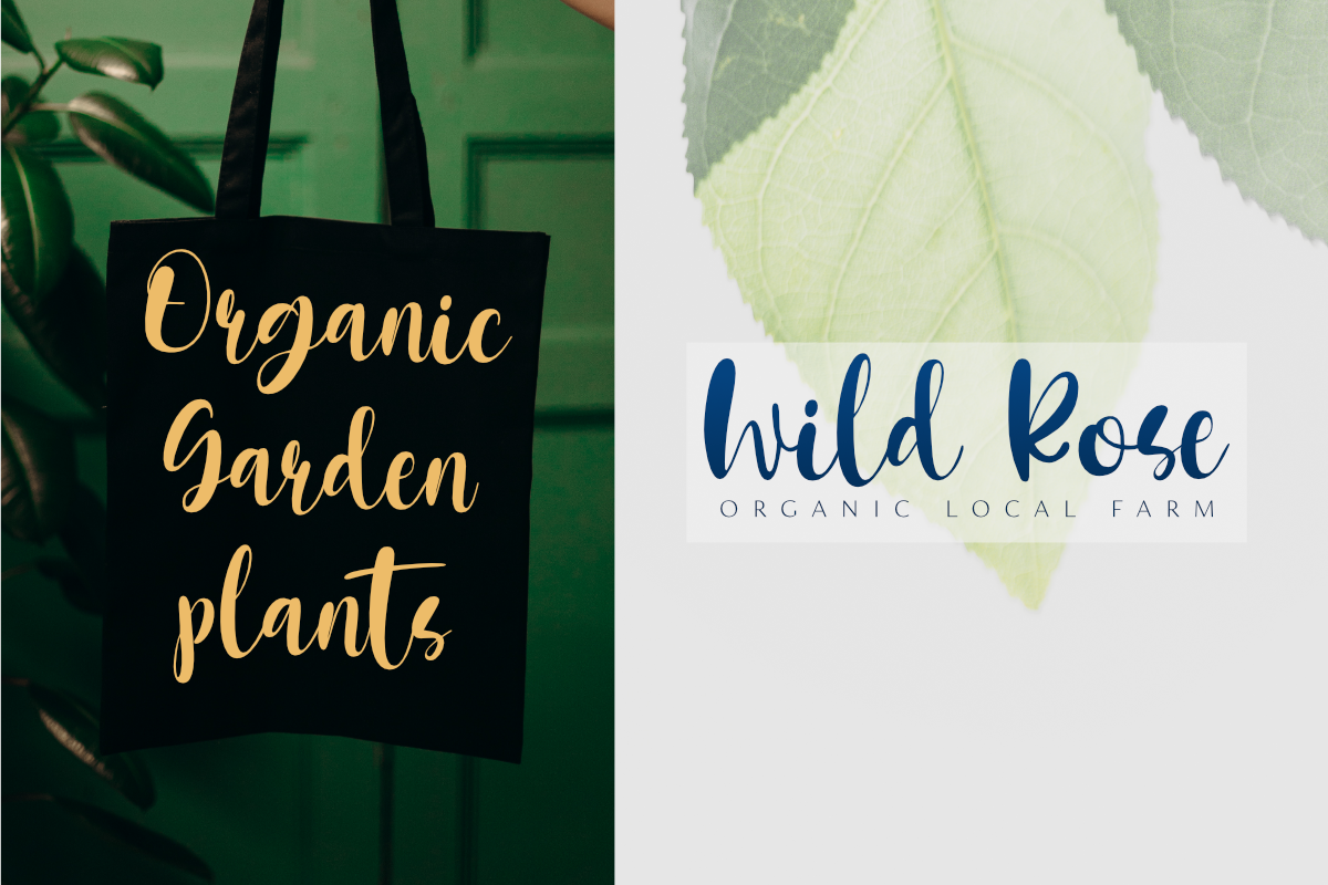 Fresh Garden Script Font, a Script Font by Epiclinez (Photo 4 of 5)