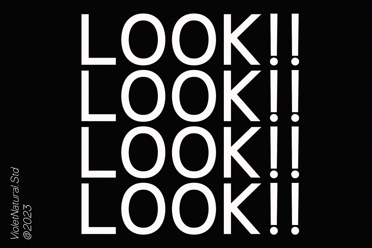 Compactible | Sans Typeface, a Sans Serif Font by Violet Natural (Photo 4 of 11)