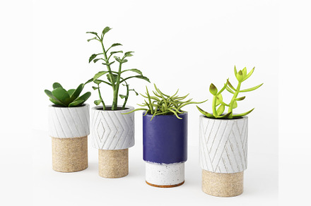 Decorative Plants, a Furniture 3D Model by 3DCargo