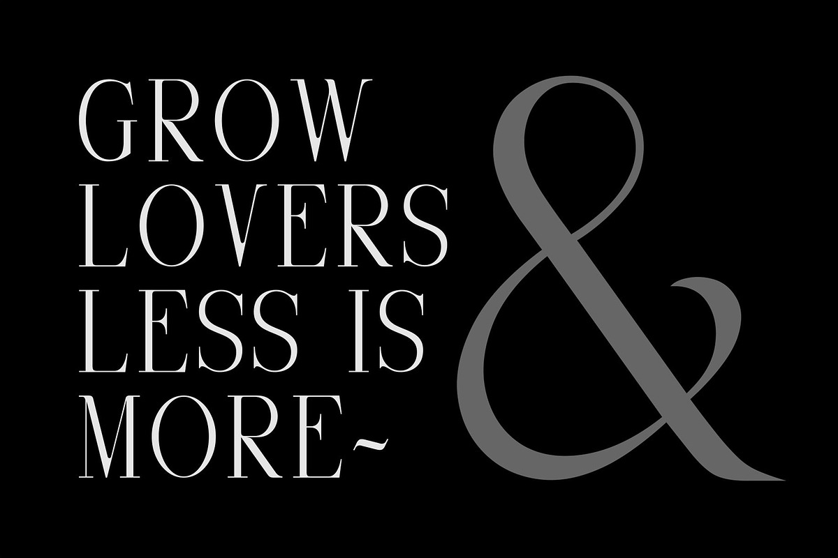 Selvina | a classic serif preview 5