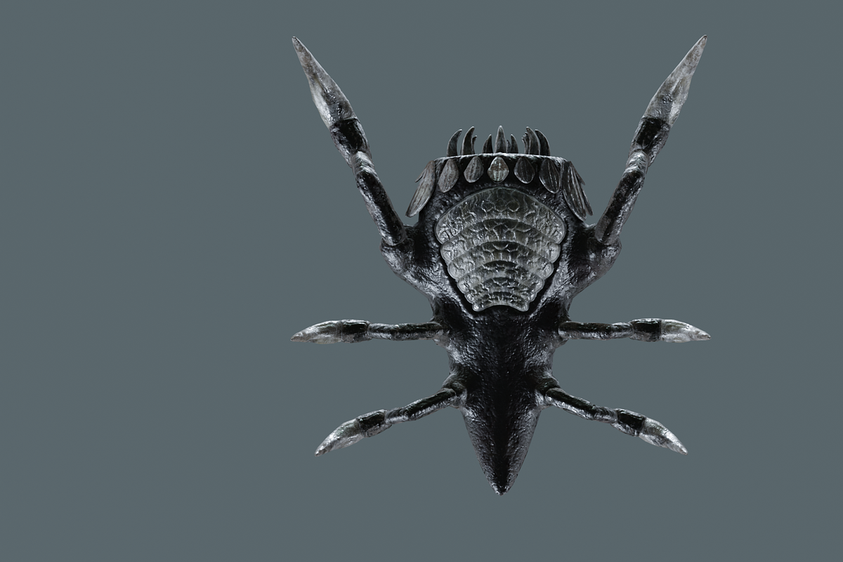 Monster Bug, a Characters & Person 3D Model by NojskaAksjon (Photo 7 of 22)