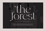 Rhiffiral, a Serif Font by Dora Typefoundry (Thumbnail 29 of 30)