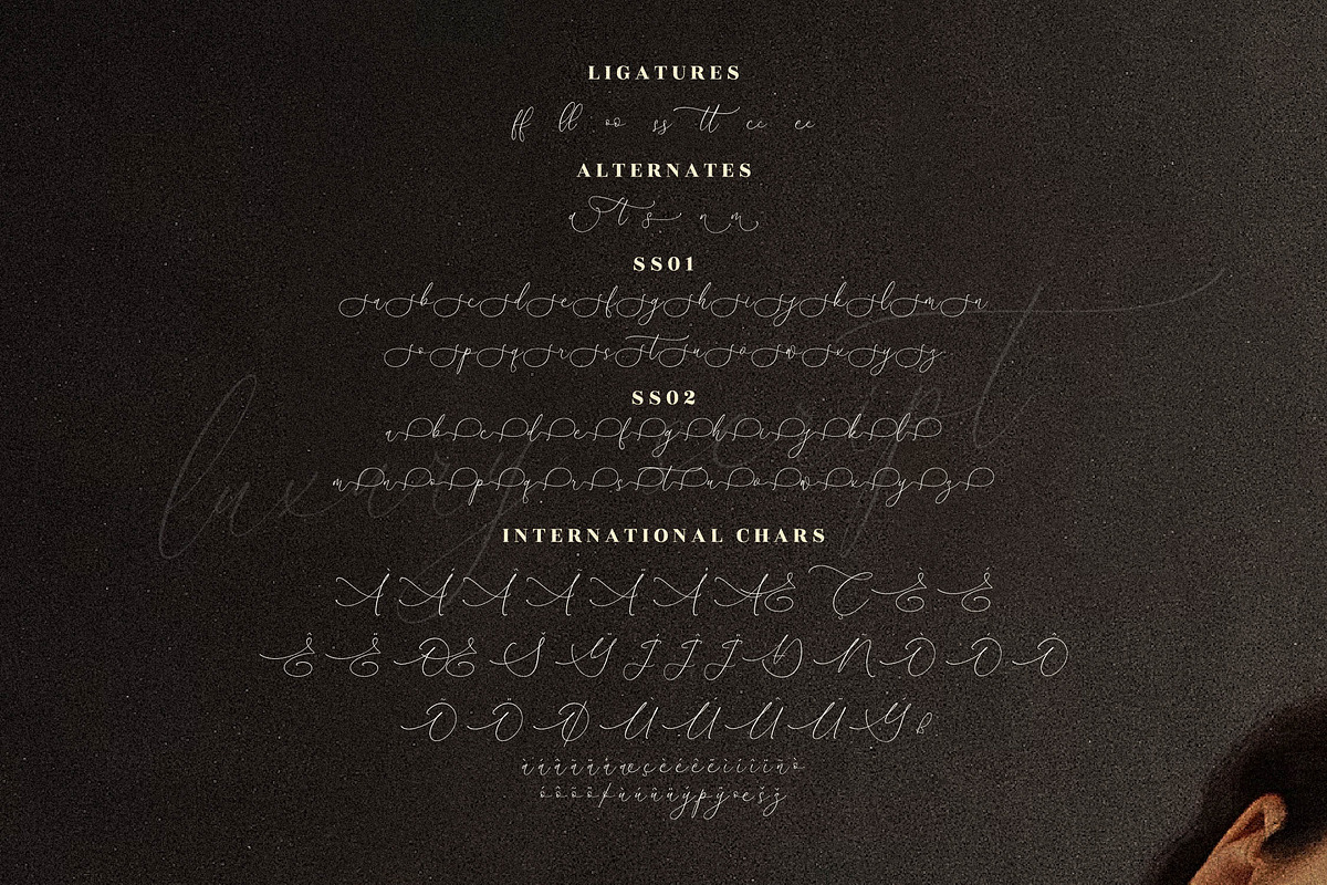 Clements Morgle Font Duo, a Serif Font by Storytype Studio (Photo 12 of 15)