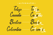 Rashard - Brush Lettering Font, a Script Font by PutraCetol Studio (Thumbnail 2 of 11)
