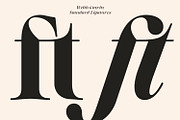 Welth Catritz - Classic Serif, a Serif Font by Typetemp Studio (Thumbnail 22 of 29)
