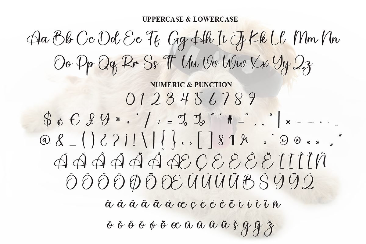 Bernard | Script Font, a Handwritten Font by Scratchones (Photo 7 of 9)