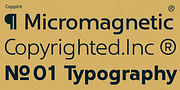 Coppint, a Sans Serif Font by Ridtype Foundry (Thumbnail 8 of 12)