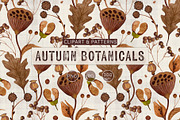 Autumn Botanicals Clipart & Patterns, an Object Graphic by ArtPavo (Thumbnail 1 of 10)