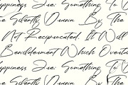 Paradise Stonelife Modern Signature, a Script Font by Letterena Studios Script (Thumbnail 6 of 15)