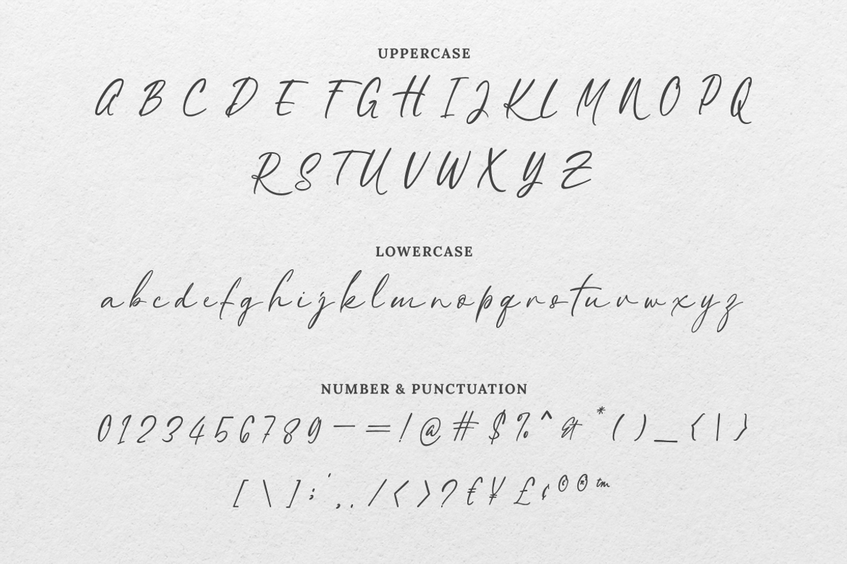 Savannah Signature Script, a Script Font by Creatype Studio (Photo 6 of 9)