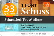 SchussSerifProMedium No.33 (1 Font), a Serif Font by typic schuss (Thumbnail 2 of 6)