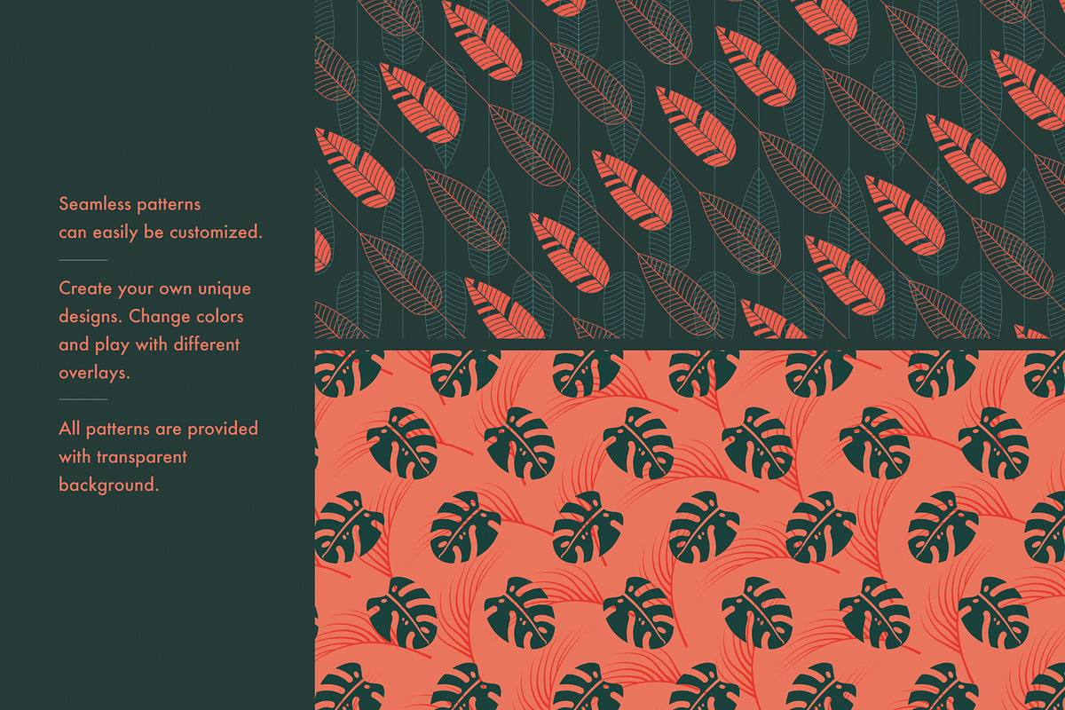 Tropical Logos and Patterns, a Branding & Logo Template by Polar Vectors (Photo 14 of 16)