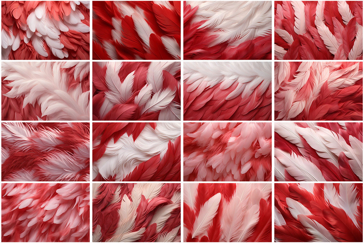 Red Feather Background, a Texture Graphic by Forhadx5 (Photo 5 of 5)