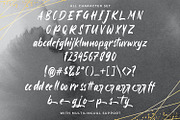 Ayus - Handbrush Script Font, a Handwritten Font by StringLabs (Thumbnail 11 of 12)