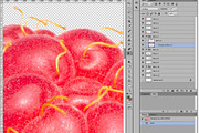 Raspberries, an Object Graphic by Hortimages (Thumbnail 2 of 2)