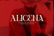One of a kind | Serif font, a Serif Font by Taboja Studio (Thumbnail 5 of 11)
