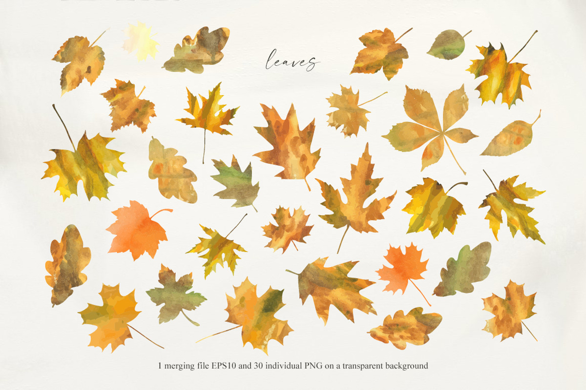 Autumn sentiment - vector clipart, a Decorative Illustration by Vasmila (Photo 12 of 14)
