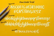 Pina Colada, a Script Font by Larin Type Co. (Thumbnail 8 of 10)
