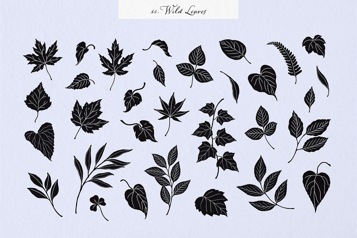 Enchanted Wonders 2 in 1 Graphic Set, a Decorative Illustration by rouxsupplyco (Photo 12 of 19)