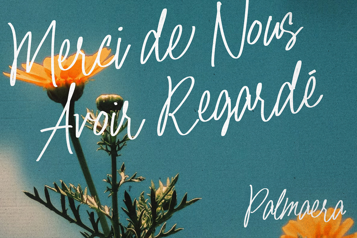 Palmaera - Signature Display Typefac, a Handwritten Font by VASTARD STUDIO (Photo 12 of 12)