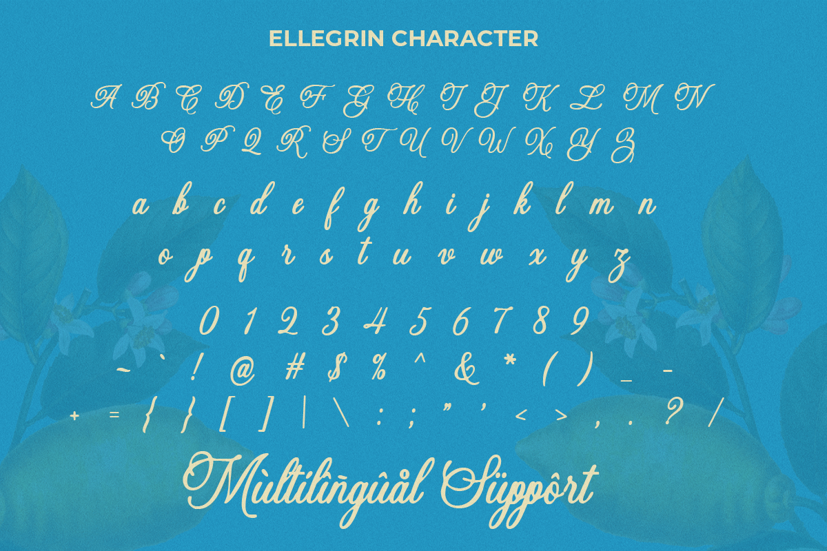 Ellegrin Script, a Script Font by Madjack.font (Photo 8 of 10)