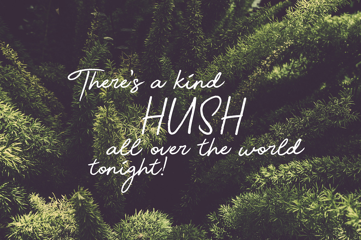 Beauty Script Font preview 7