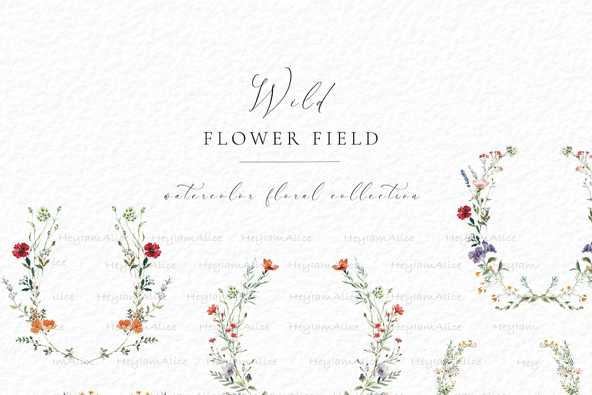 Wild Flower Field, a Decorative Illustration by heyiamalice (Photo 4 of 10)