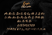 Eagle Horizon, a Handwritten Font by Letterara (Thumbnail 10 of 13)
