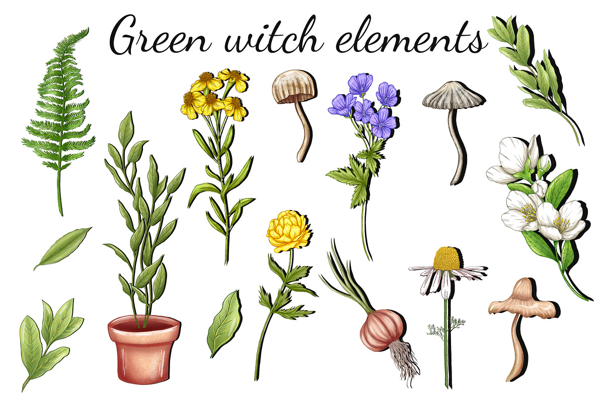 Witch secrets clipart set, an Education Illustration by Mrs.Swan_Design (Photo 3 of 8)