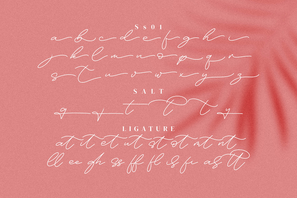 Felisia, a Handwritten Font by Integritype Studio (Photo 9 of 11)