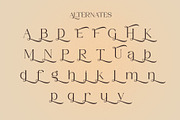 Hollaine - Luxury Serif Typeface, a Serif Font by Muflieart (Thumbnail 9 of 11)