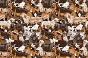 Dog breeds - sketches & lettering, an Animal Illustration by handsketched (Thumbnail 6 of 10)