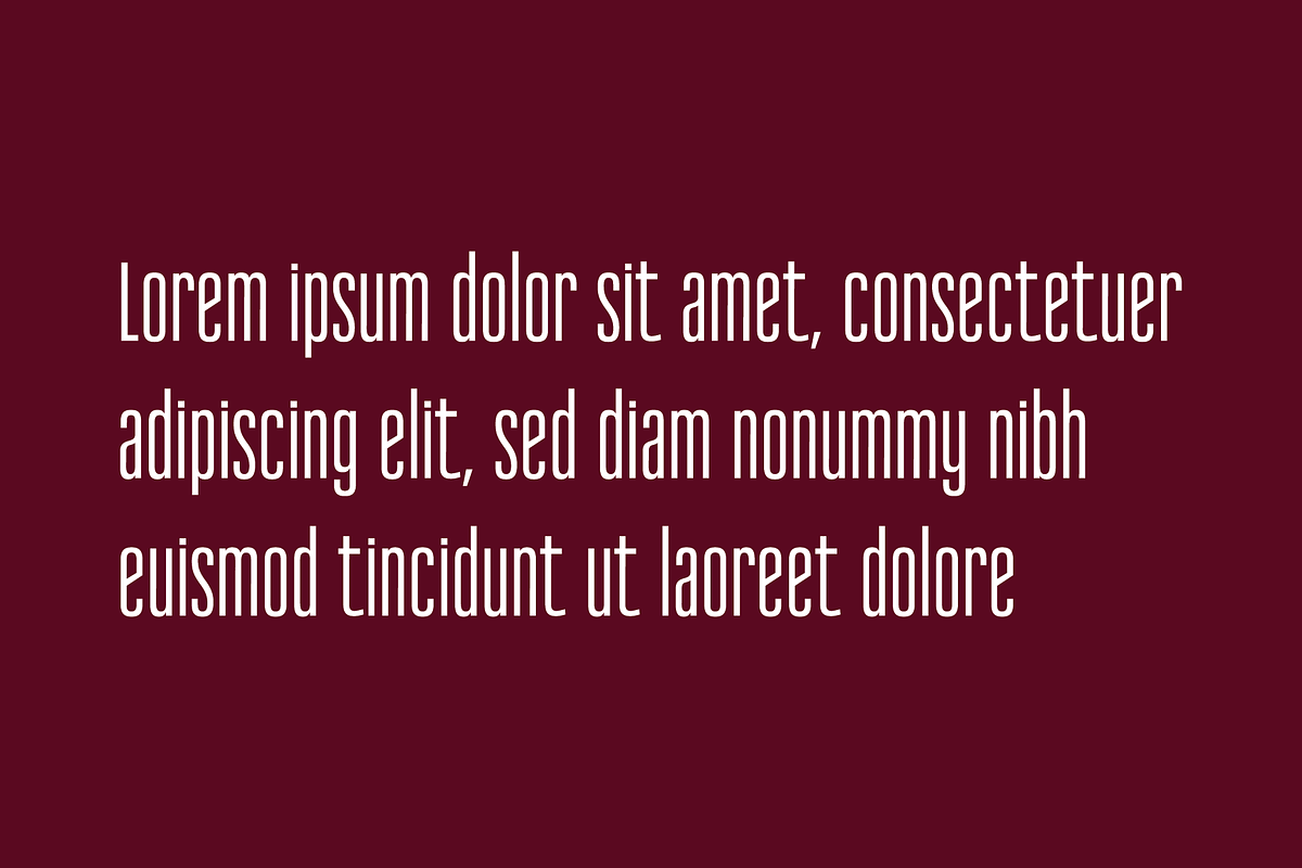 Reformer Font, a Serif Font by Jadugar Design Studio (Photo 11 of 11)
