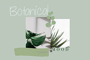 Palmetto - Cyrillic & Latin, a Font by Katie Holland (Thumbnail 4 of 7)