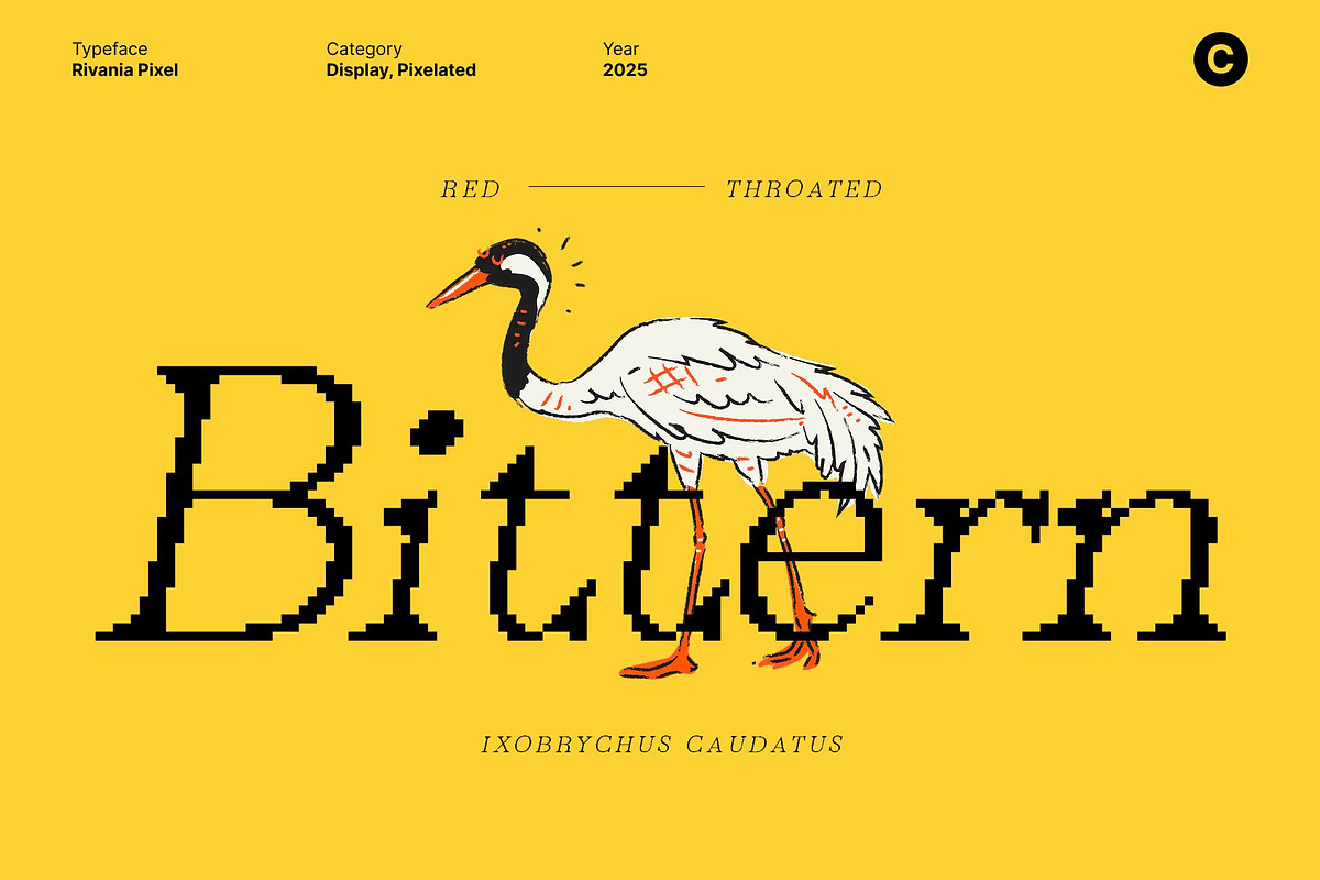 Rivania Pixel, a Serif Font by Craft Supply Co. (Photo 6 of 8)