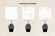 Potted Plants | Patterns & Extras, an Illustration by Studio Fevrier (Thumbnail 6 of 10)