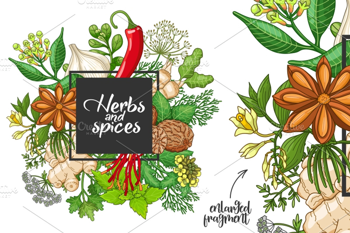 Hot spices and herbs templates, a Food Illustration by Primula`s shop (Photo 4 of 4)