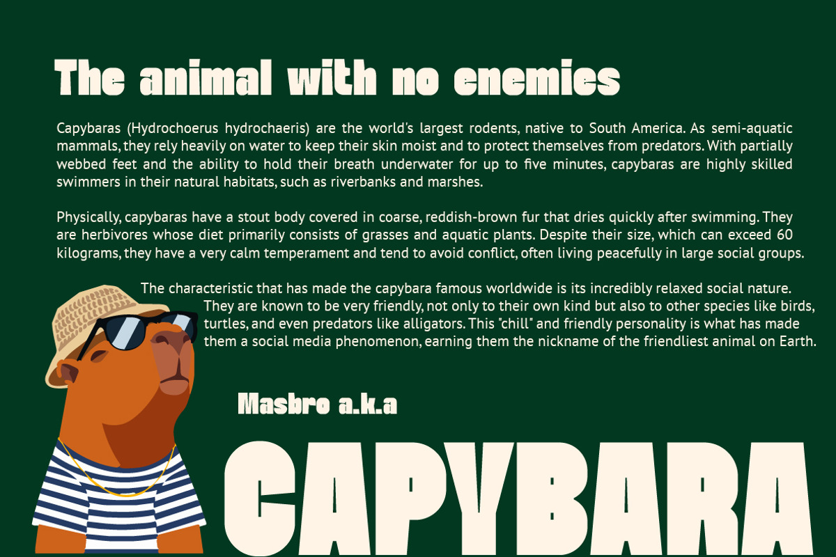 Khattalib - Display Heavy Sans Serif, a Sans Serif Font by Nian Keun Studio (Photo 3 of 10)