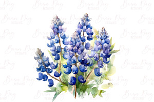 Watercolor Bluebonnets Clipart Vol 1