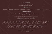 Tranquil Euphoric A Modern Font Duo, a Serif Font by Storytype Studio (Thumbnail 14 of 15)
