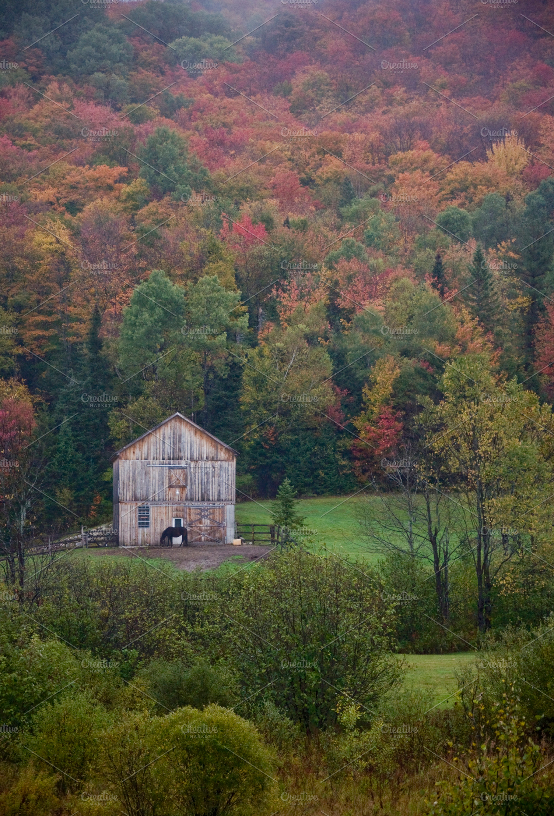 Old Barn In Vermont